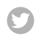 Twitter icon