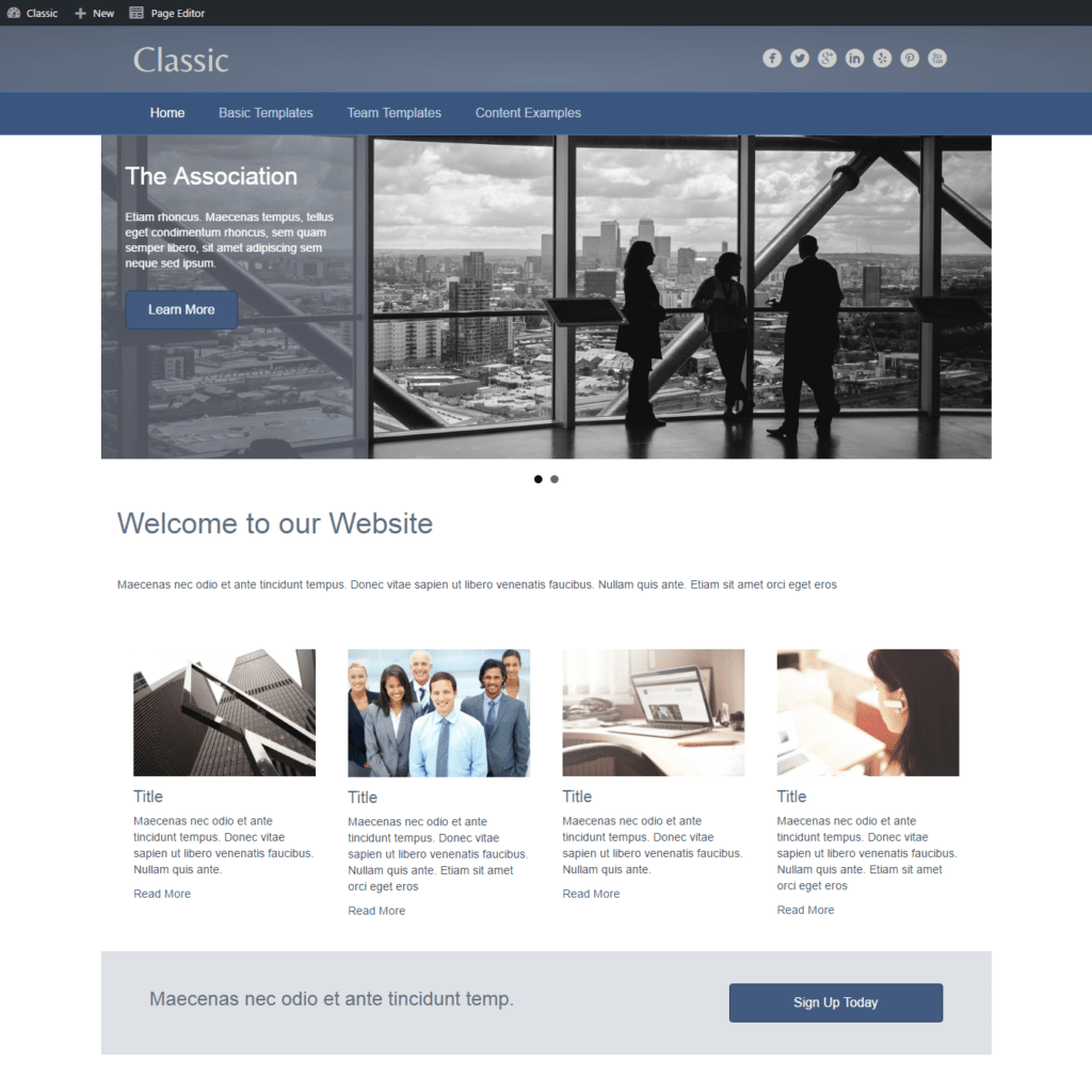 Association Classic Website Design image