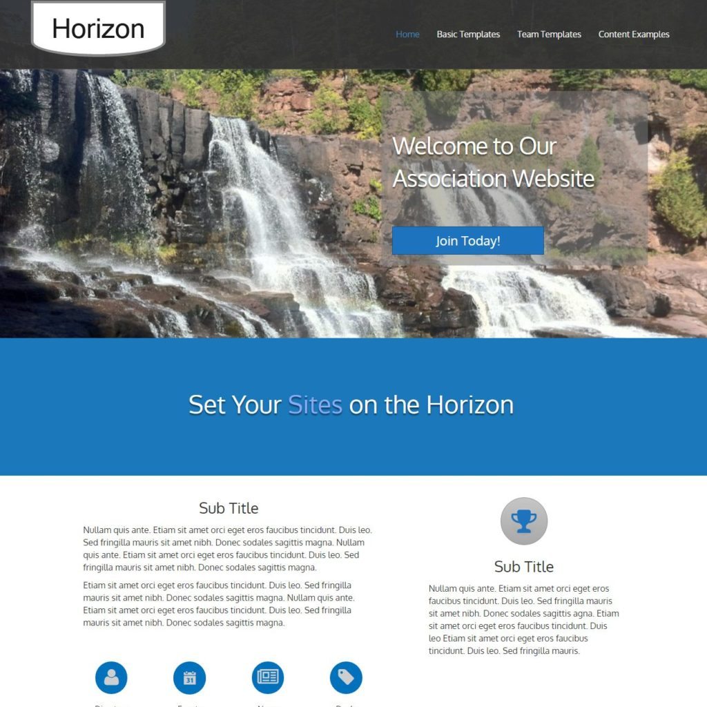 Association Website Design Horizon image