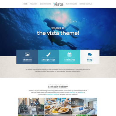 Vista Web Theme for Association Websites