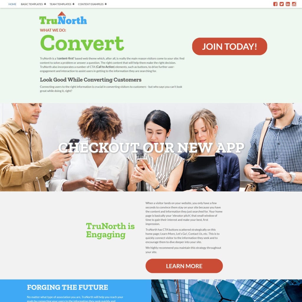 image of trunorth website theme for associations