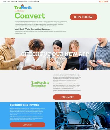 image of trunorth website theme for associations