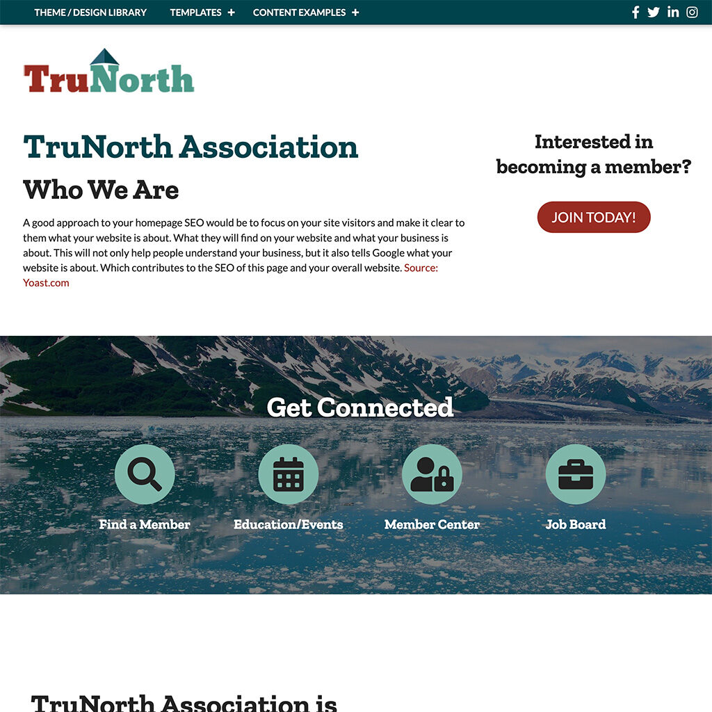 image of tru-north website template